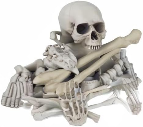 MOKRY PARTY Bag of Bones Halloween Life Size Skeleton Skull for Decoration an...