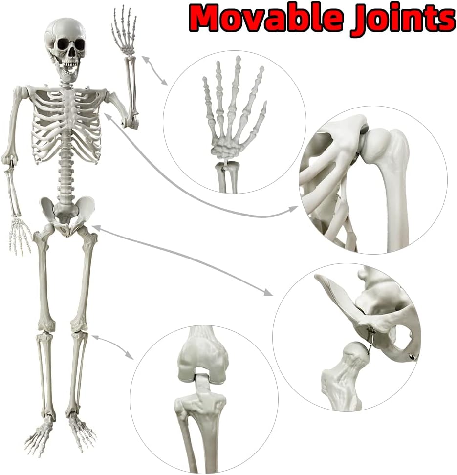 Wocst 5.4Ft/165cm Halloween Skeleton Full Body Life Size Human Bones with Mov...