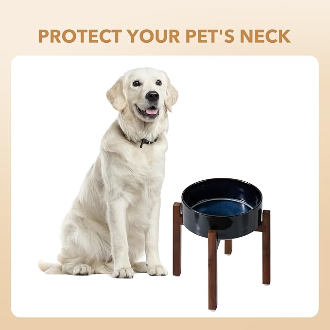 Ceramic 8.2inch Raised Dog Bowl Set, Elevated - Image 6