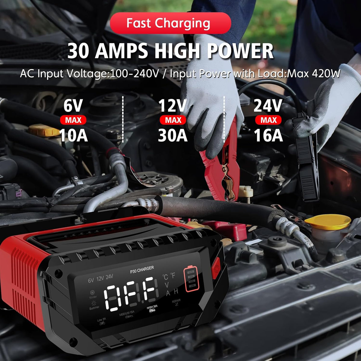 30 Amp 6V/12V/24V Smart Trickle Charger, Car Battery Charger, Lithium, Lifepo...