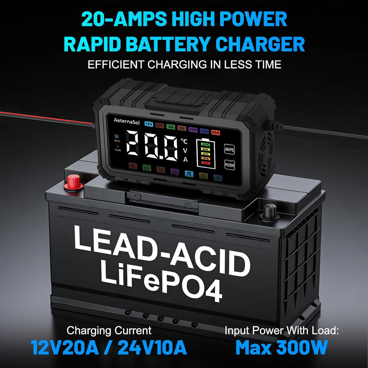 20A Smart Car Battery Charger, 12V/24V Trickle Charger Maintainer (Black)