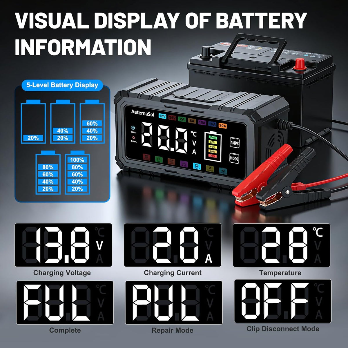 20A Smart Car Battery Charger, 12V/24V Trickle Charger Maintainer (Black)
