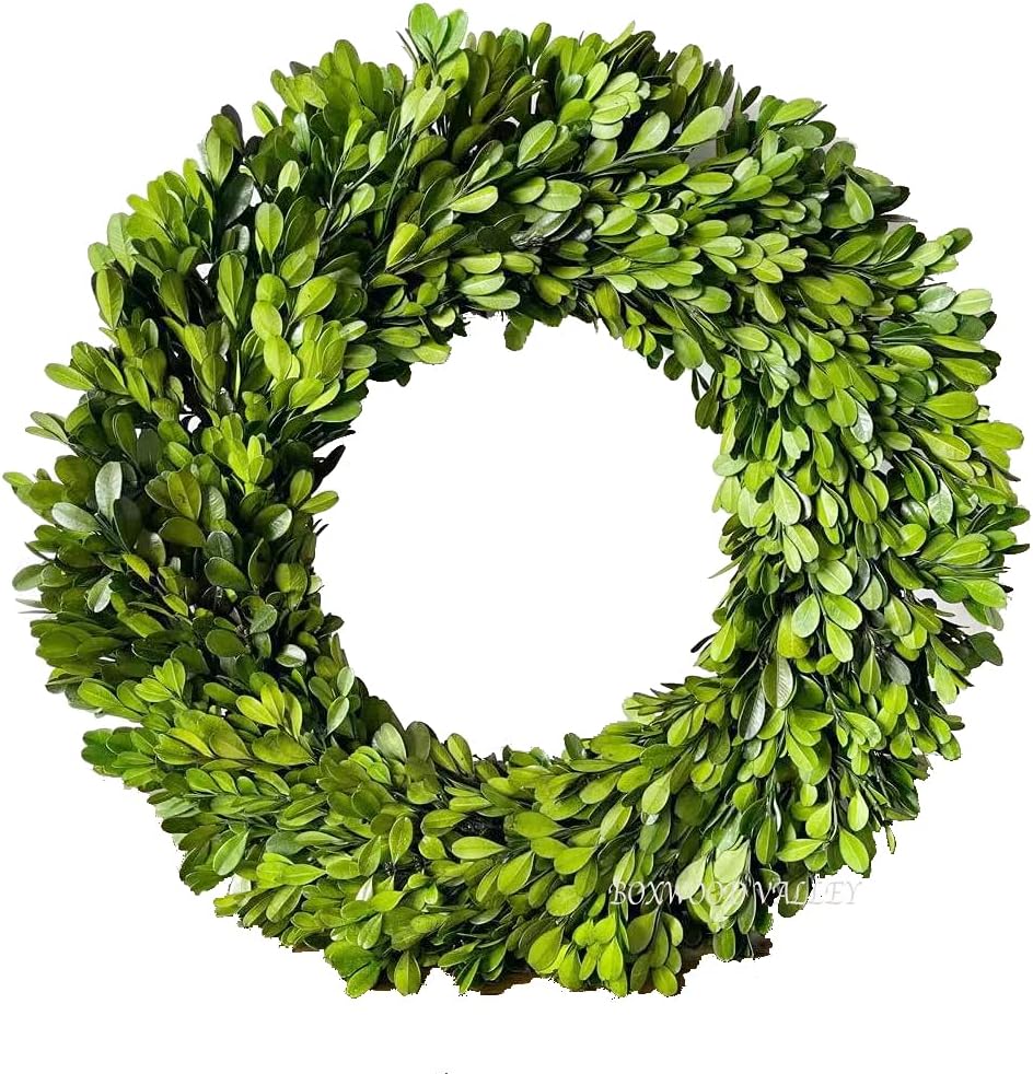 Preserved Boxwood Wreath, 11 Inches, Green Wreath for All Seasons Indoor Use ...
