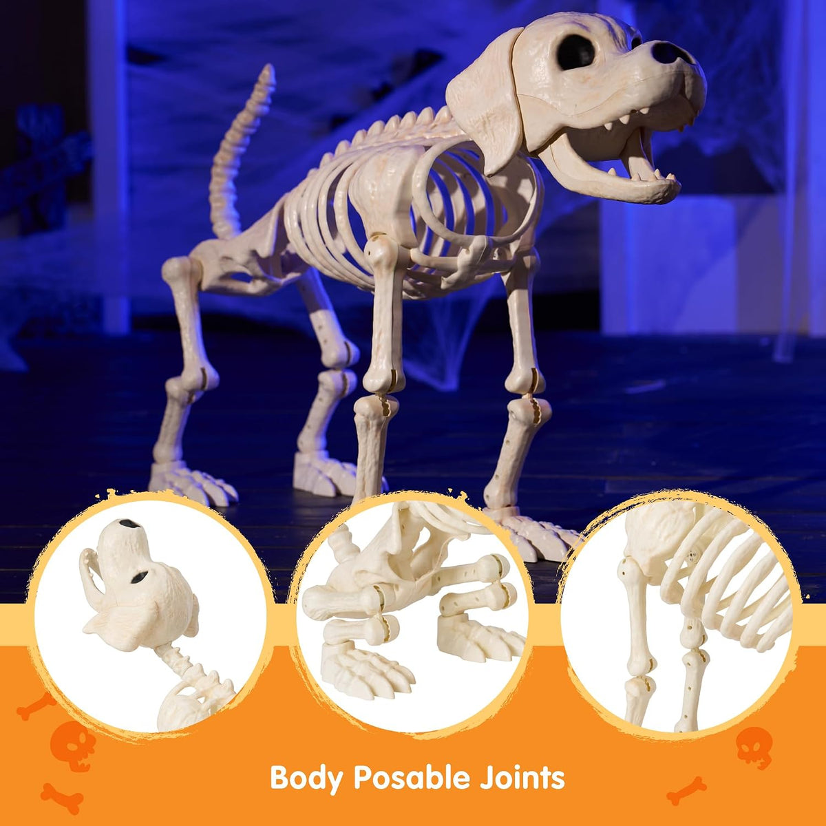 JOYIN Halloween Golden Retriever Skeleton 34โ Animal Dog Plastic Skeleton wit...