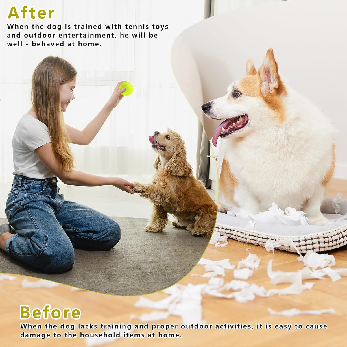 Magicorange Small Tennis Balls, 60 Pack 2 inch Tennis Balls for Dogs