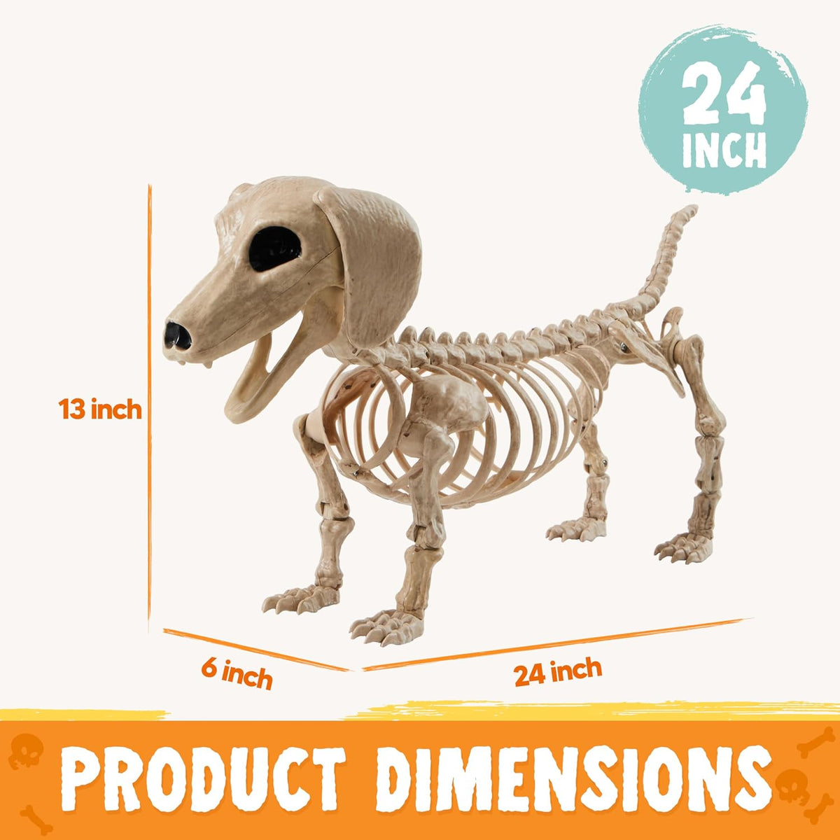 JOYIN Wiener Dog Skeleton 24โ Plastic Animal Posable Skeleton Halloween Decor...