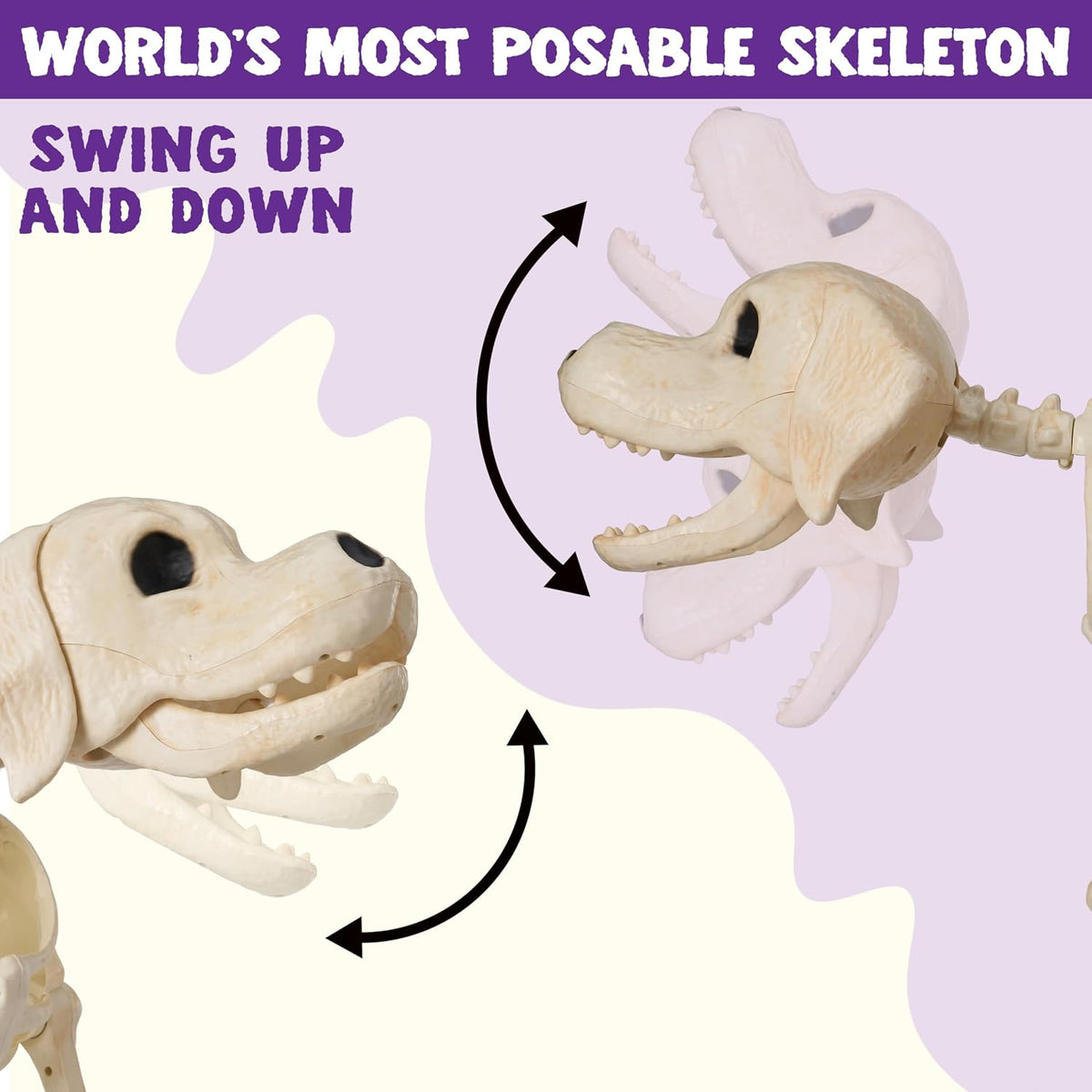 JOYIN Halloween Golden Retriever Skeleton 34โ Animal Dog Plastic Skeleton wit...