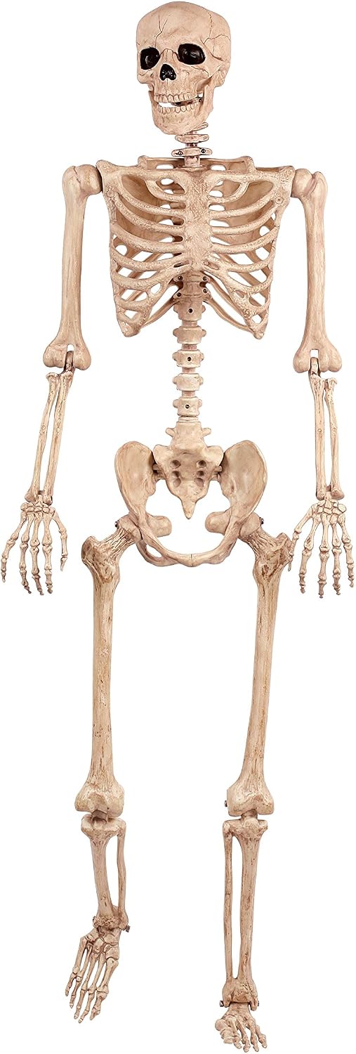 Crazy Bonez Original Pose-N-Stay Halloween Skeleton, 5 FT โ Life-Size