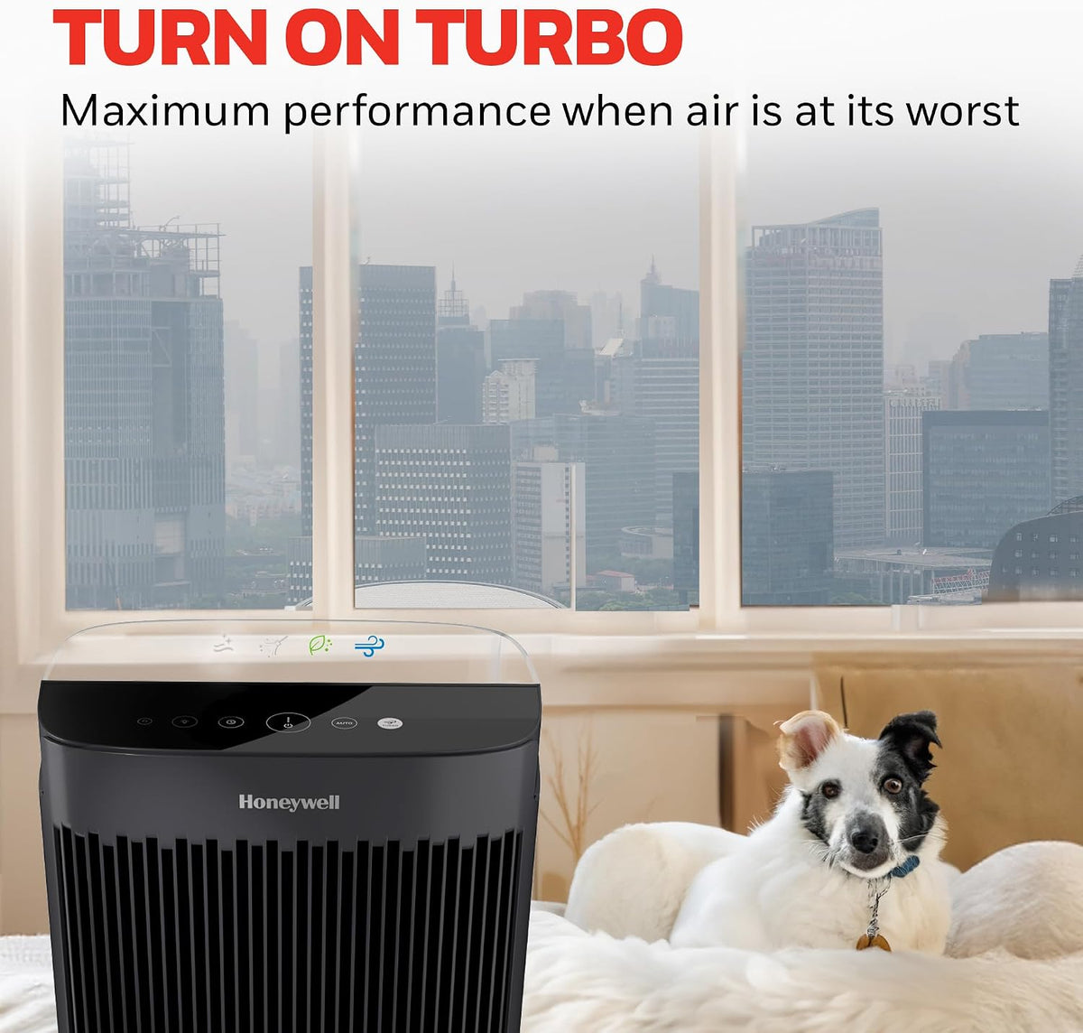 Honeywell HEPA Air Purifier for Home and Small-Medium 938 Ftยฒ Rooms, Black