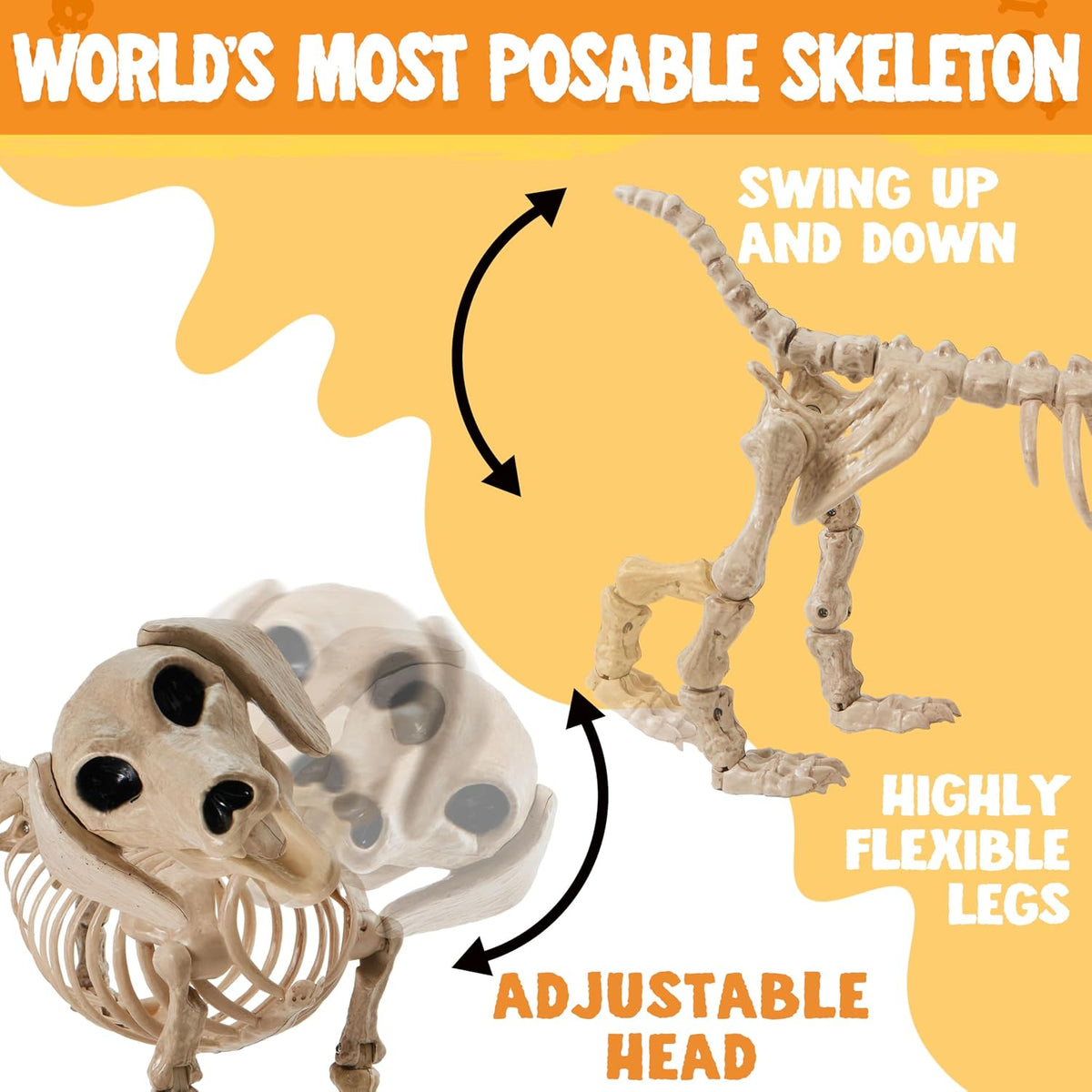 JOYIN Wiener Dog Skeleton 24โ Plastic Animal Posable Skeleton Halloween Decor...