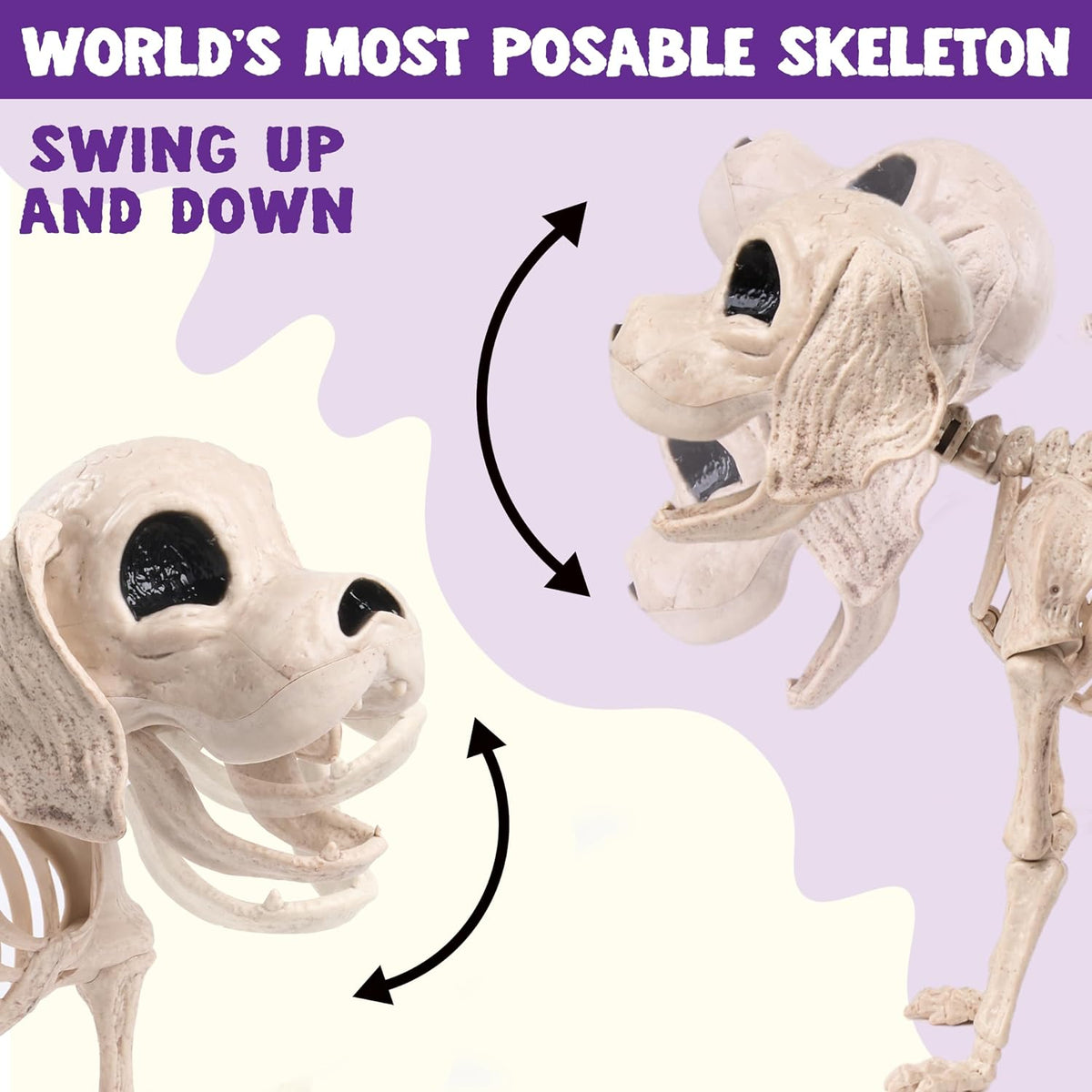 JOYIN Posable Halloween Dog Skeleton Full Body Posable Joints Realistic Skele...