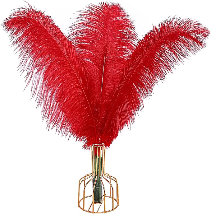 THARAHT Red Ostrich Feathers 12pcs Large Natural Bulk 16-18Inch 40cm-45cm for...