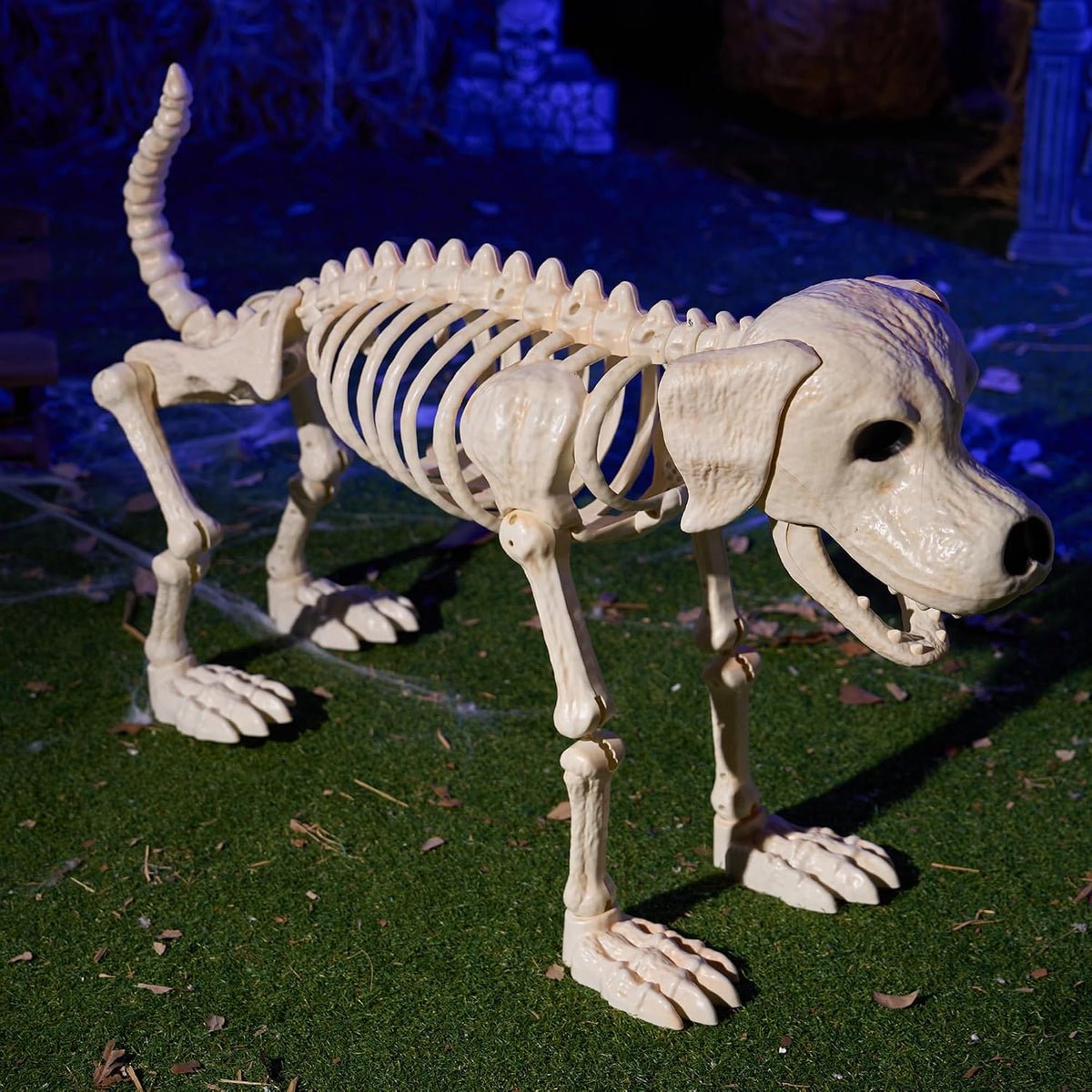 JOYIN Halloween Golden Retriever Skeleton 34โ Animal Dog Plastic Skeleton wit...