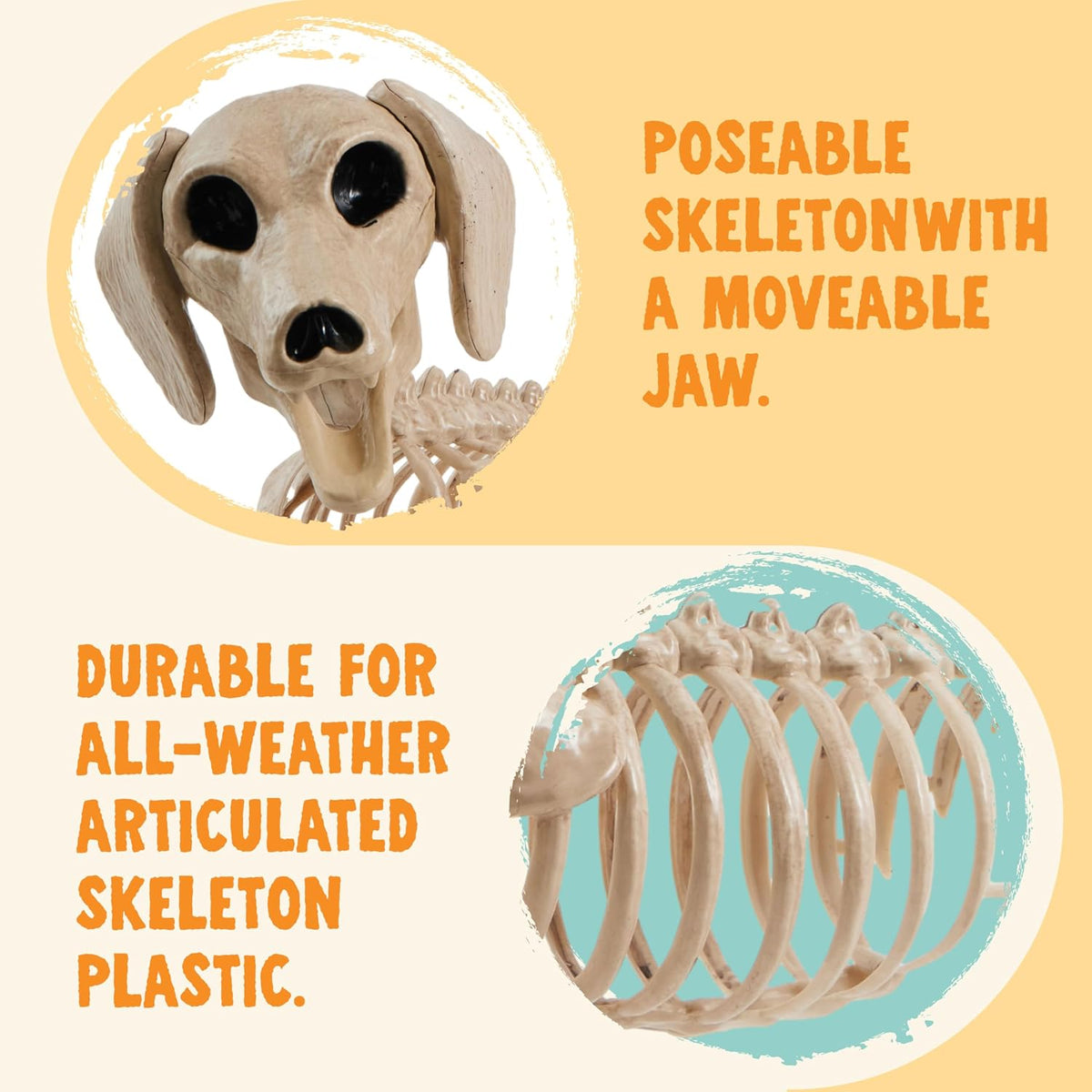 JOYIN Wiener Dog Skeleton 24โ Plastic Animal Posable Skeleton Halloween Decor...
