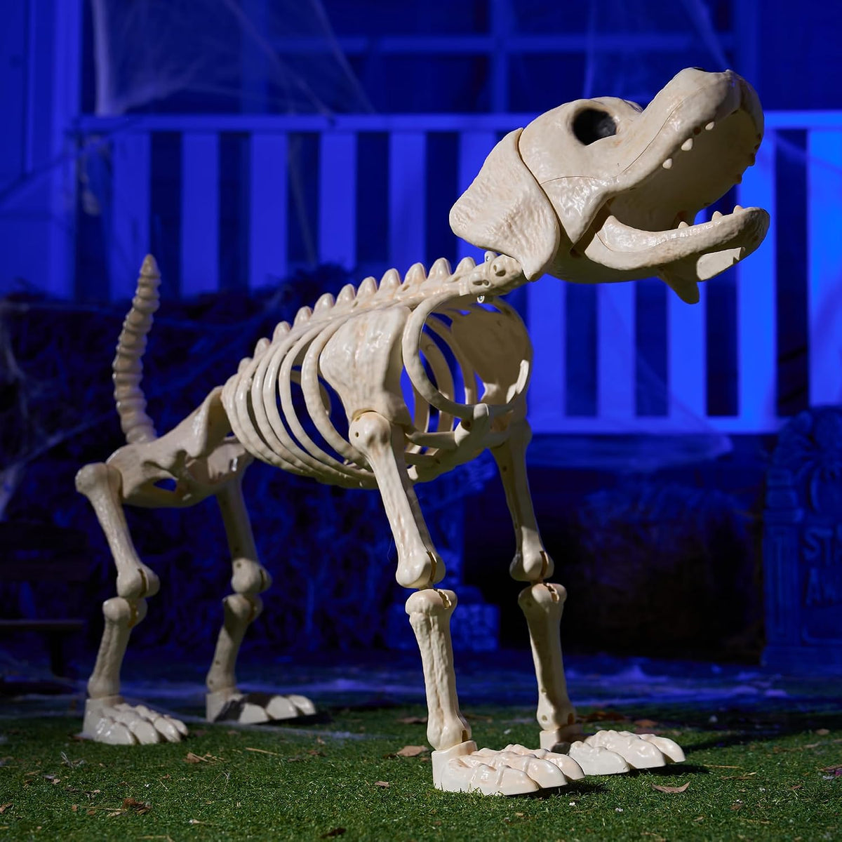 JOYIN Halloween Golden Retriever Skeleton 34โ Animal Dog Plastic Skeleton wit...