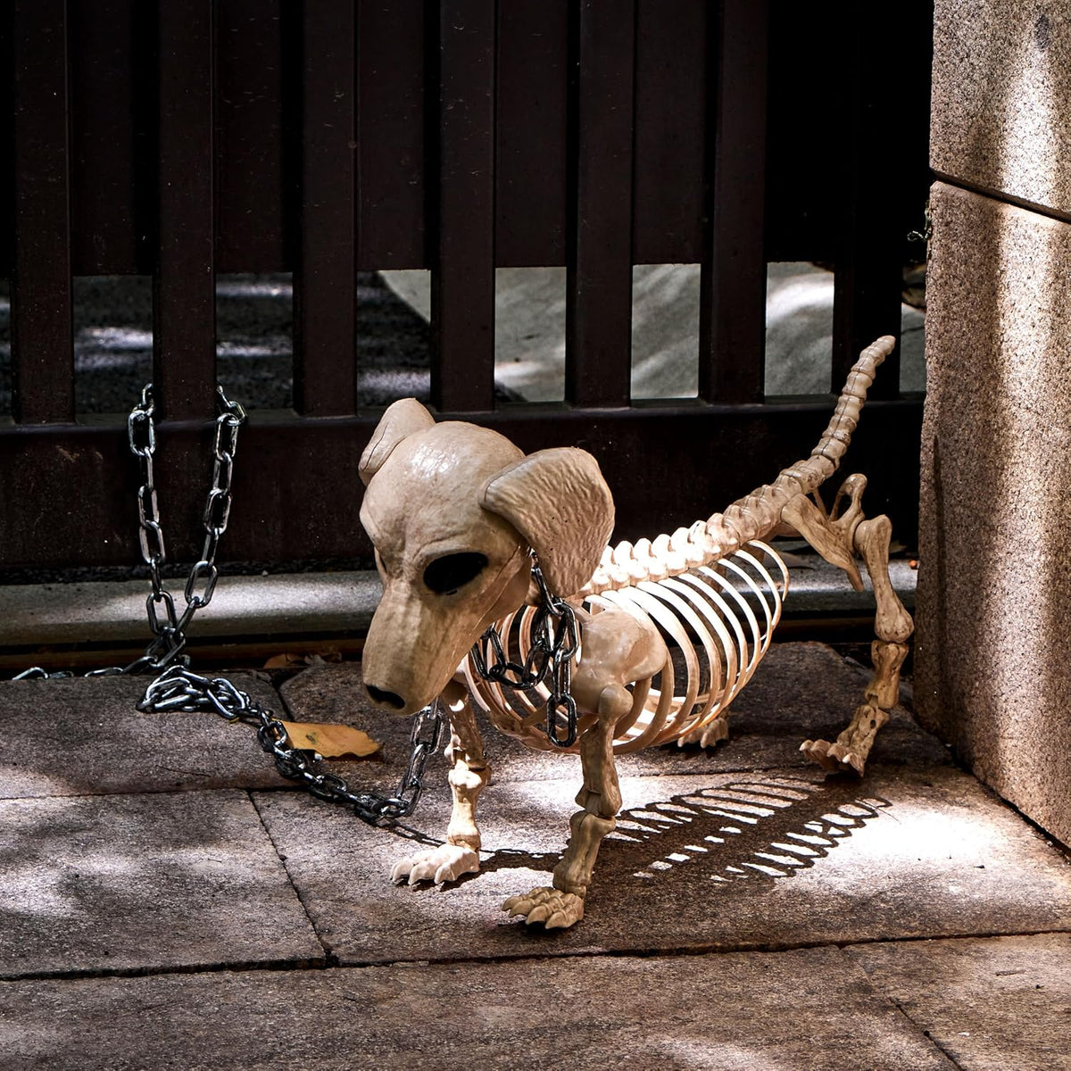 JOYIN Wiener Dog Skeleton 24โ Plastic Animal Posable Skeleton Halloween Decor...