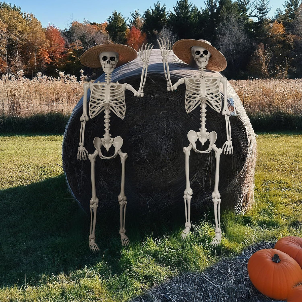 5.4 FT Halloween Life Size Skeleton, Full Size Skeleton Poseable