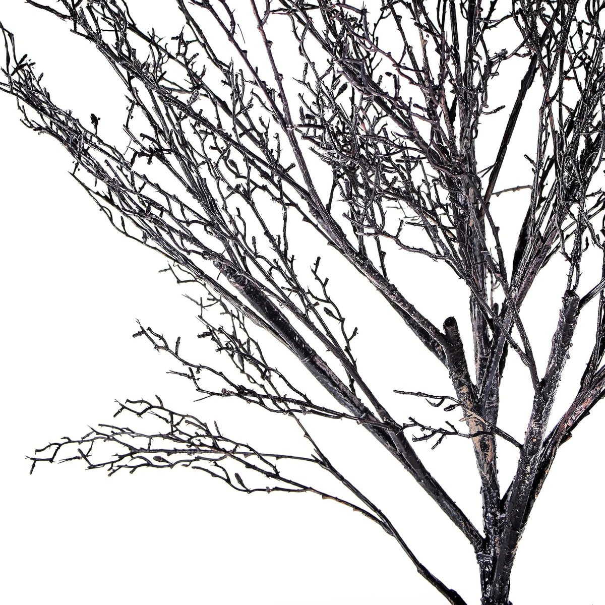 National Tree Company Artificial Tree Decoration, Black, Leafless, Includes S...