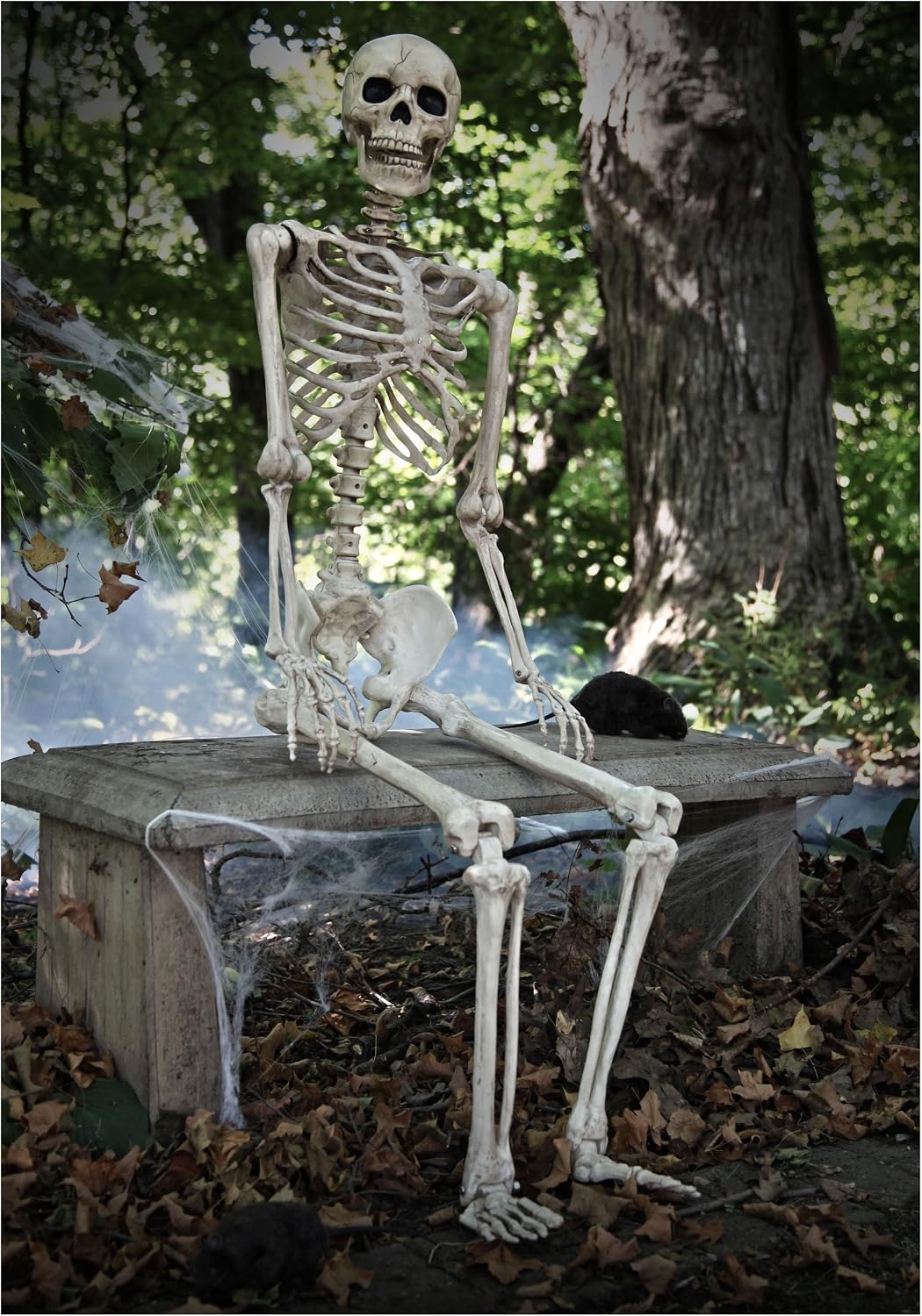 Crazy Bonez Original Pose-N-Stay Halloween Skeleton, 5 FT โ Life-Size
