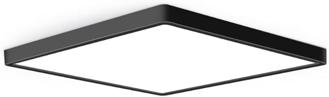 12inch 24W LED Flush Mount Ceiling Light, 4000K Square LED Ceiling Light by theBingotec
