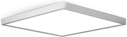 LED Flush Mount Ceiling Light Fixture, 5000K Daylight White, 12inch 24W by theBingotec