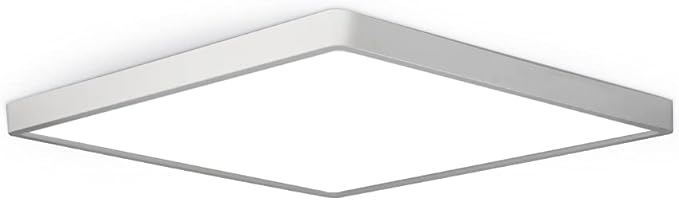 LED Flush Mount Ceiling Light Fixture, 4000K Neutral White, 12inch 24W by theBingotec
