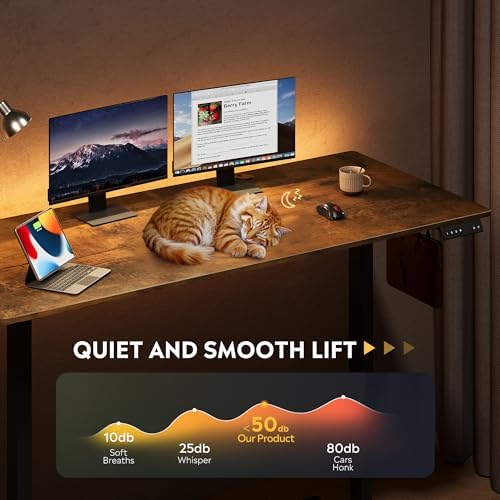 devaise 63 inch standing desk with split top showing dimensions
