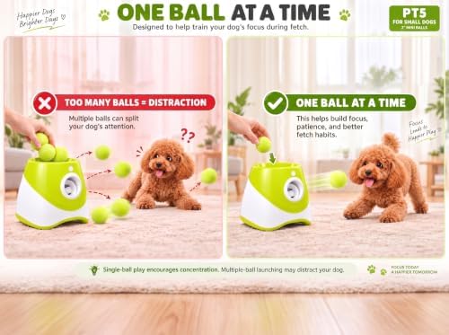 pt5 automatic dog ball launcher for small dogs, front angle view