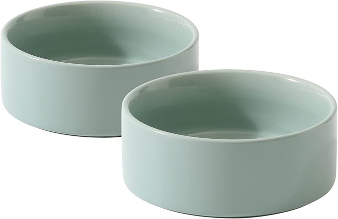 Ceramic 5.1inch Set of 2 Dog and Cat Bowls by Havniva
