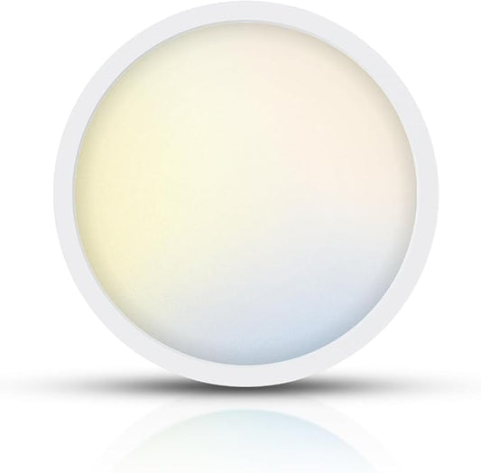 TOPELER 12 Inch Flush Mount Ceiling Light, 5 Color Temperatures Selectable by TOPELER