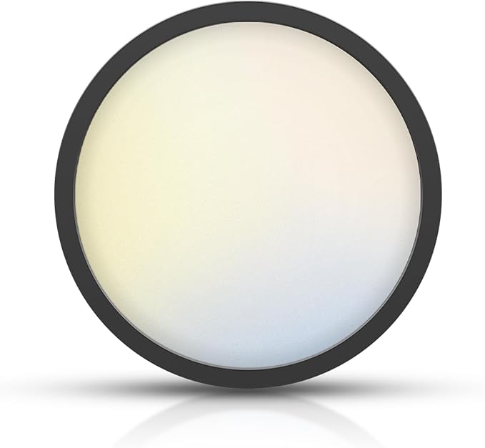 TOPELER Black LED Flush Mount Ceiling Light, 9inch 24W 2000Lm Dimmable Overhead by TOPELER
