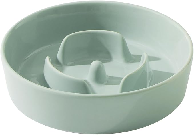 Ceramic 0.9 Cup Dog Bowl Slow Feeder by Havniva