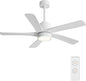 WINGBO 48 Inch DC Ceiling Fan by HomePage