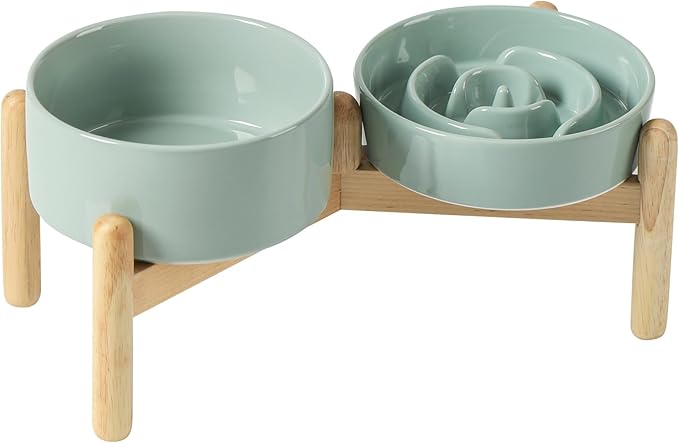 Ceramic 0.9 Cup Raised Slow Feeder Dog Bowl Set, Elevated 6.1inch Water Bowl by Havniva