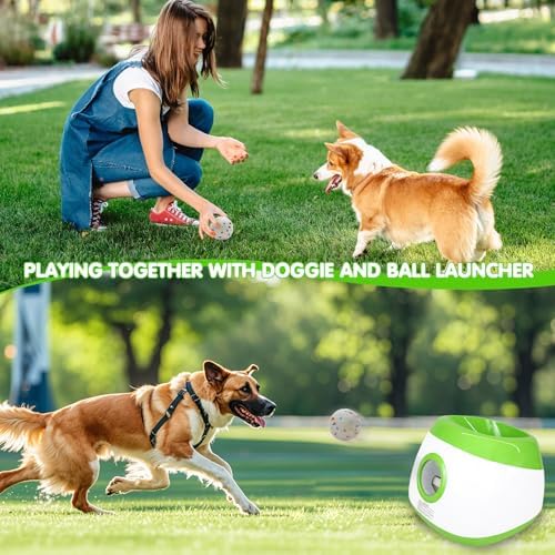 mekaple automatic dog ball launcher, upgraded interactive dog on a desk or shelf