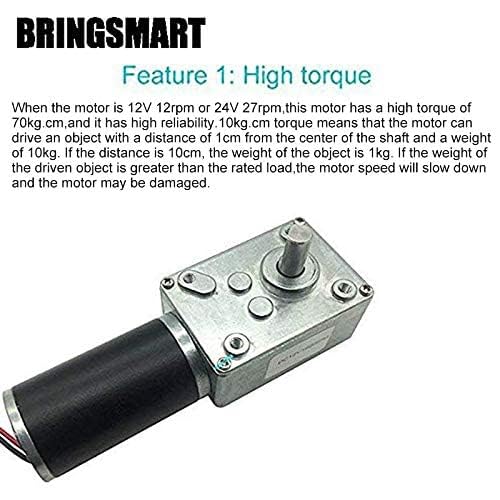 BRINGSMART 12V 16rpm DC Worm Gear Motor 70kg.cm High Torque Turbine Electric - Image 2