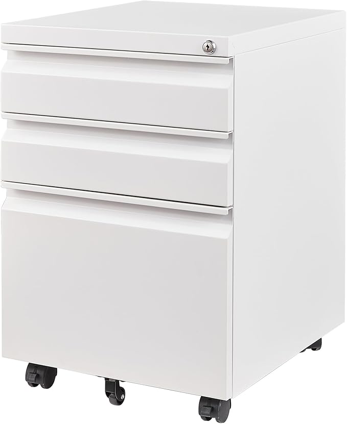 Letaya 3 Drawer Mobile File Cabinet by LetayaMetalCabinets