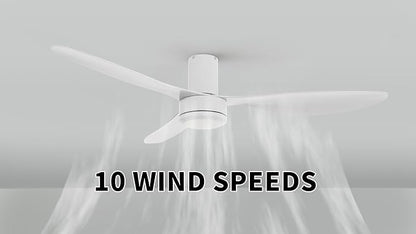 SMAAIR 52 Inch Ceiling Fan No Light - Image 2