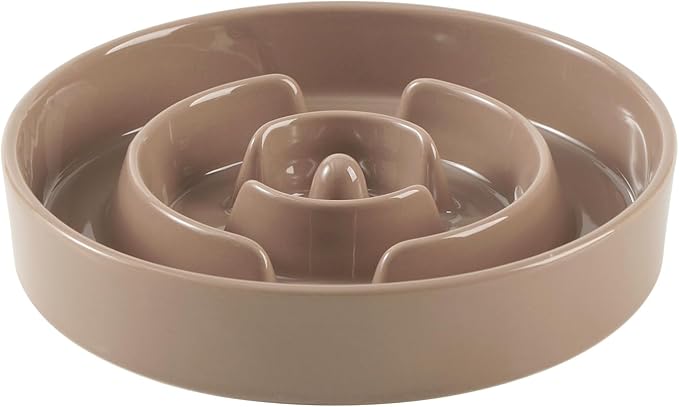 Ceramic 1.2 Cup Slow Feeder Dog Bowl by Havniva