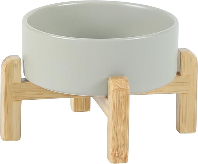 Ceramic Raised Dog and Cat Bowl Set, 2 Heights Elevated Stand, Food and Water by Havniva