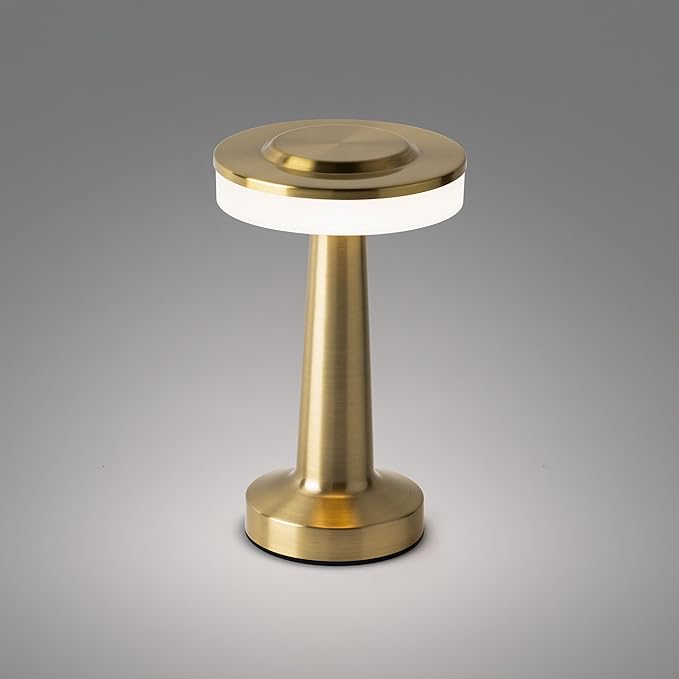 Radiance LED Cordless USB-C Re-Chargeable Desk Lamp, 5200mAh Battery Operated by EastGroveHome