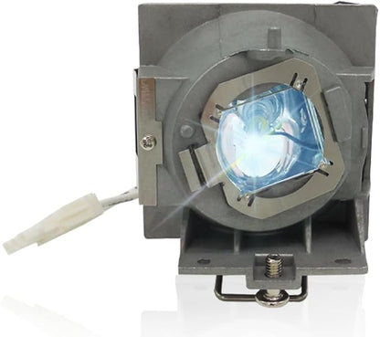 SORNEICDR RLC-108 Replacement Projector Lamp Bulb Compatible by SORNEICDRIsProfession