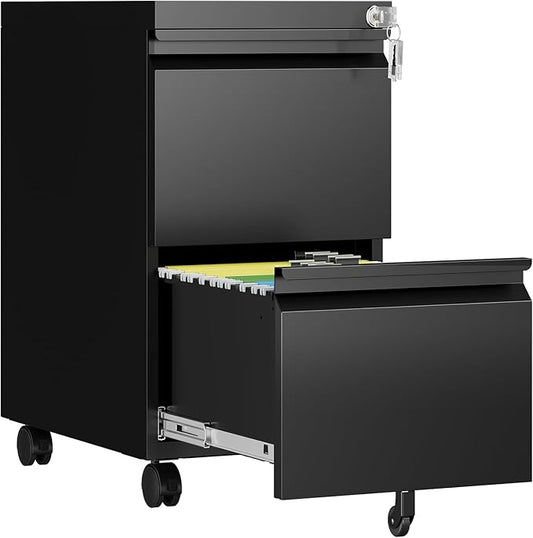 2 Drawer File Cabinet with Lock, Rolling File Cabinets by AFAIF