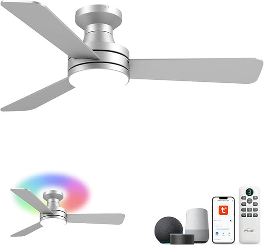 Homlit 42" RGB Ceiling Fan by Homlit