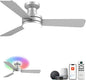 Homlit 42" RGB Ceiling Fan by Homlit