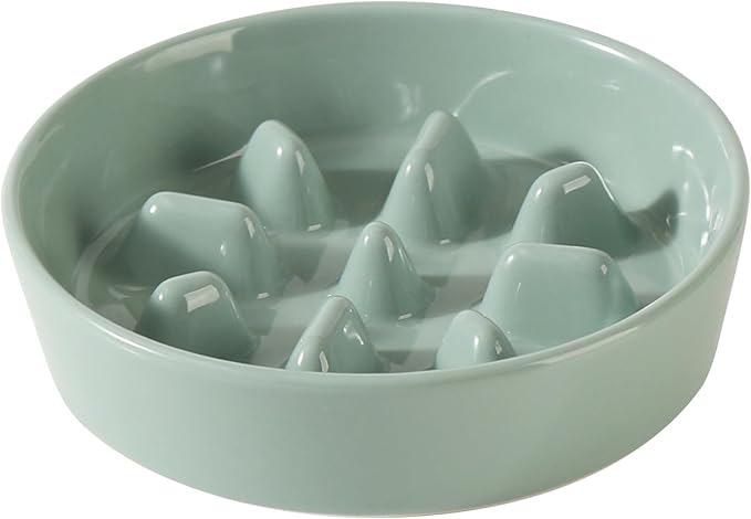 Ceramic 1.2 Cup Dog Bowl Slow Feeder, 7.3 inch Slow Pet Food Dish by Havniva