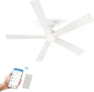 SMAAIR Smart Ceiling Fan with Light, 60inch Indoor and Outdoor ceiling fan with by SMAAIR