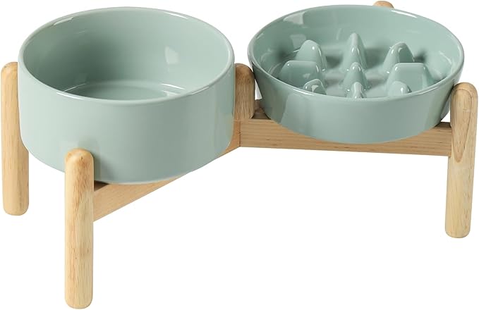 Ceramic 0.9 Cup Raised Slow Feeder Dog Bowl Set, Elevated 6.1inch Slow Dish and by Havniva
