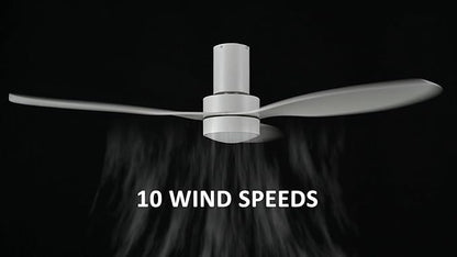 SMAAIR 52 Inch Ceiling Fan - Image 4