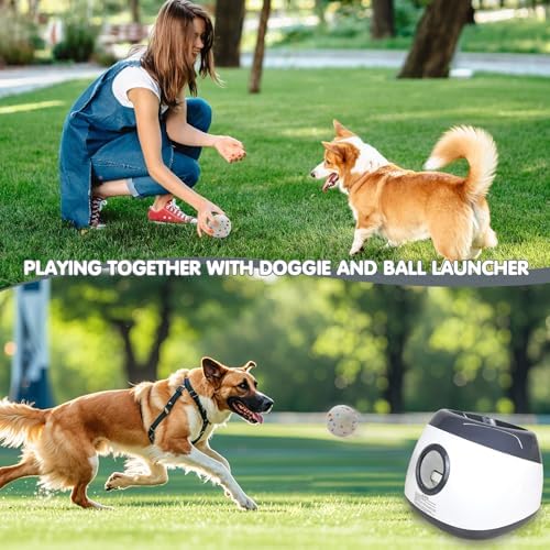 mekaple automatic dog ball launcher, upgraded interactive dog on a desk or shelf